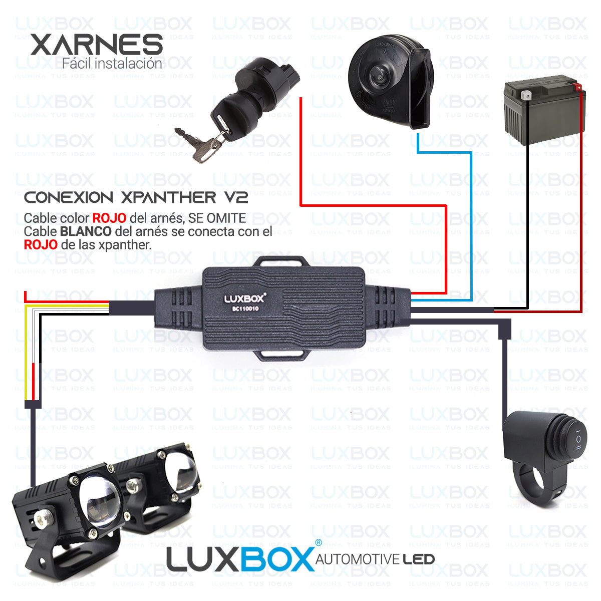KIT ARNÉS Y SWITCH PARA XPANTHER